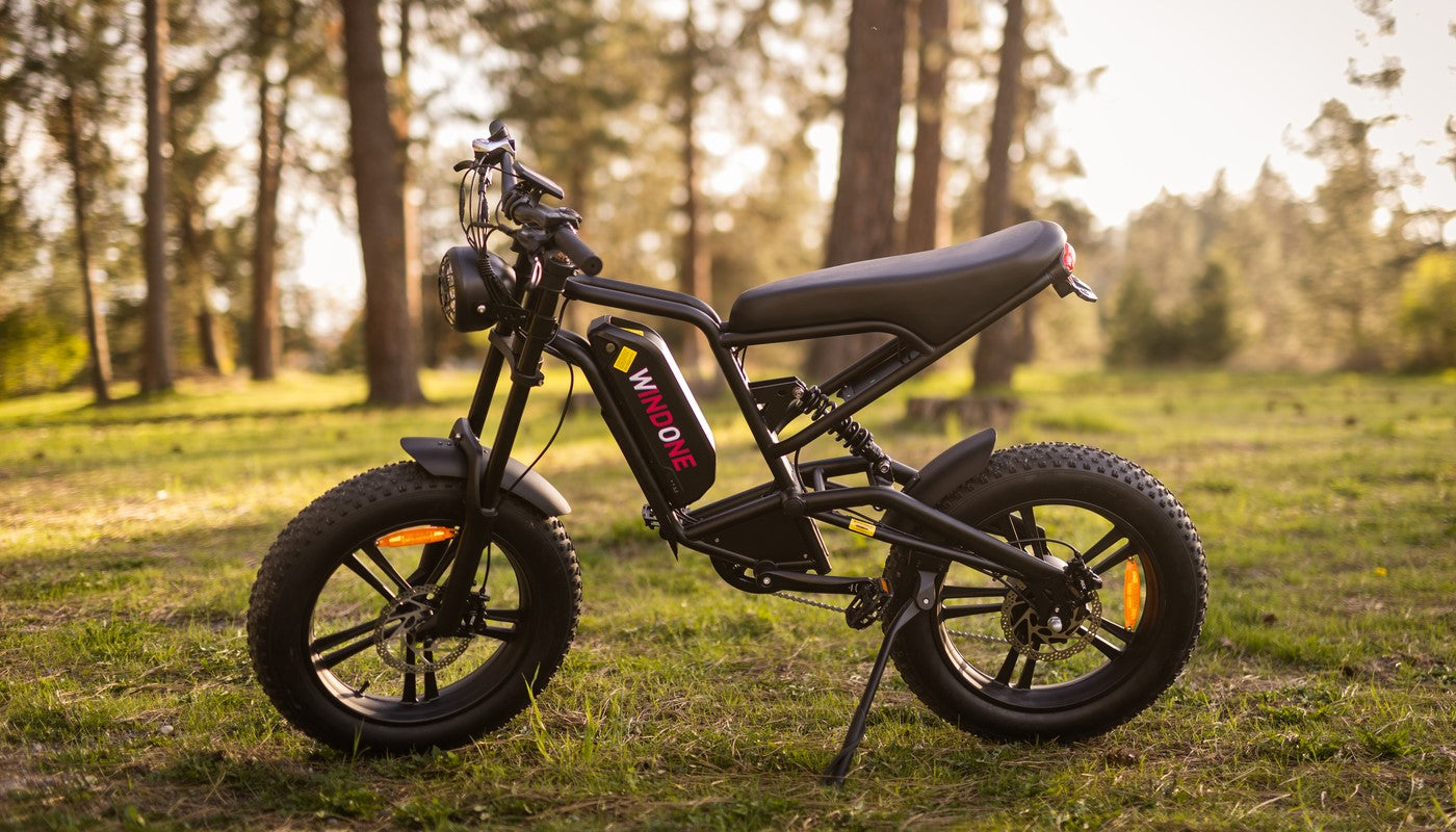 E-Bike Chargers: A Comprehensive Guide to Types and Differences