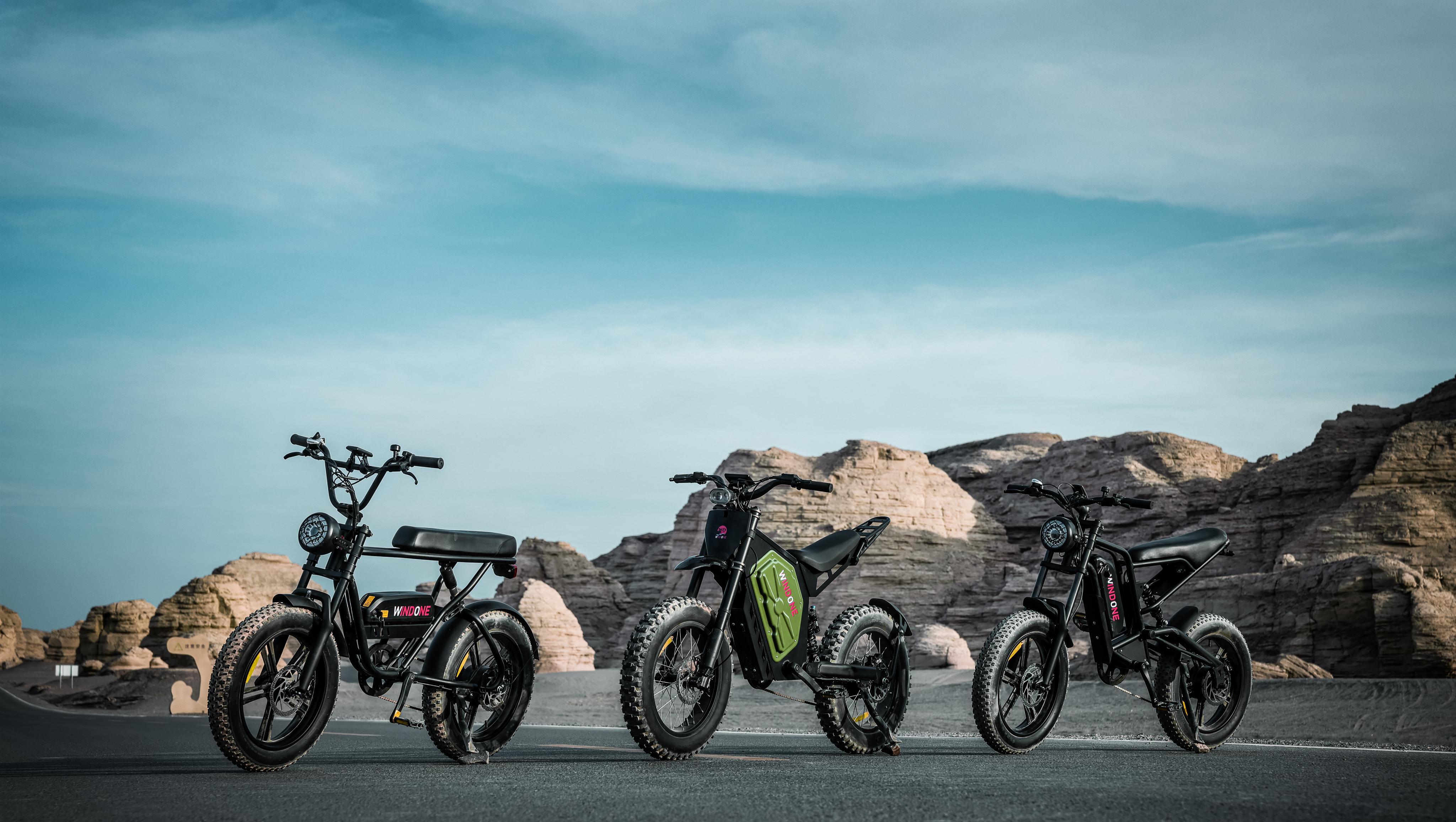 Forest Trails vs. Mountain Paths: Where Should You Ride Your Electric Dirt Bike?