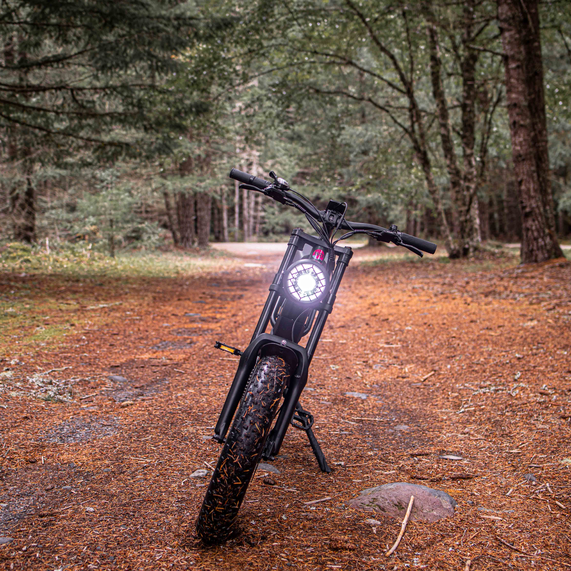 Windone E2 Fat Tire Off-Road Adventurer