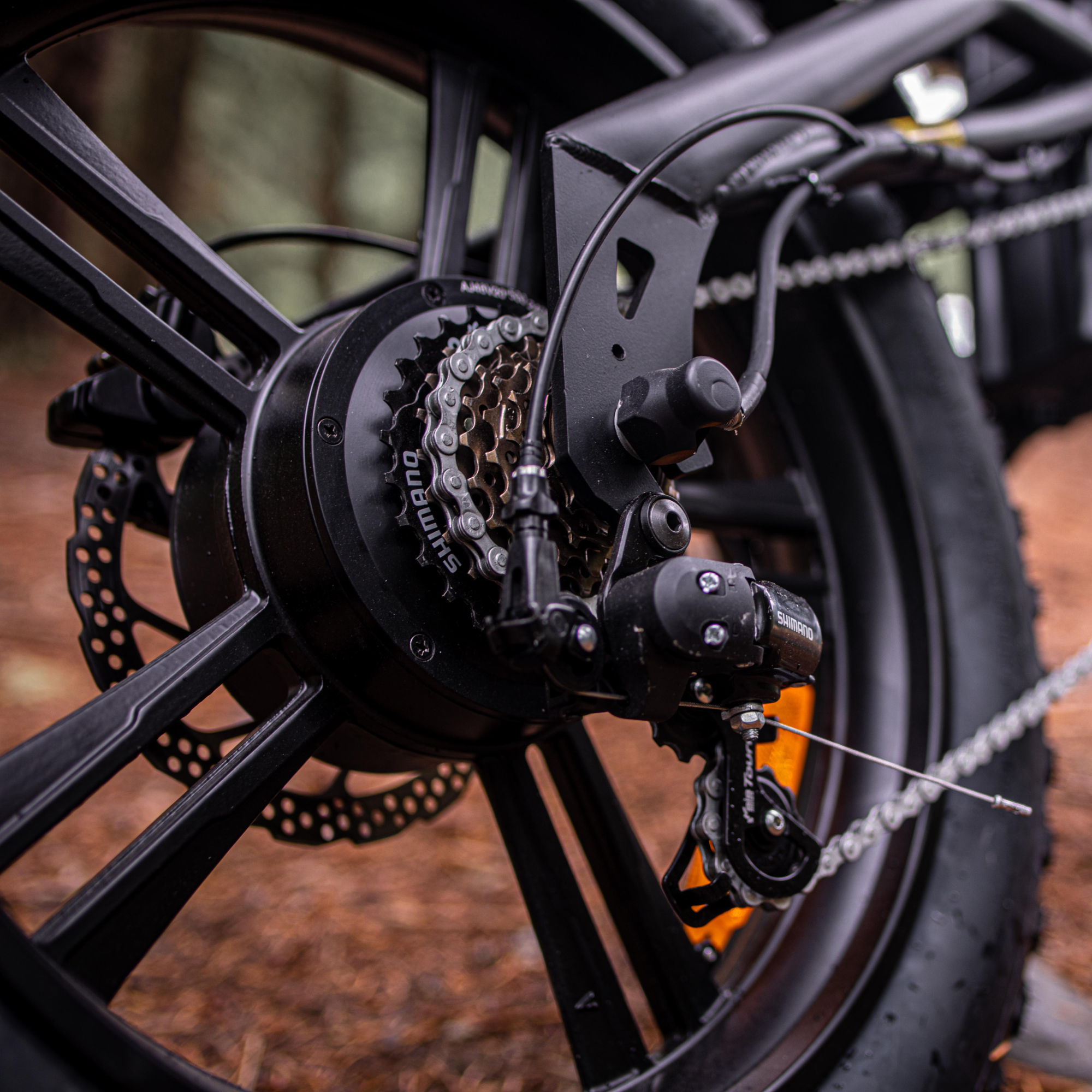 Windone E2 Fat Tire Off-Road Adventurer