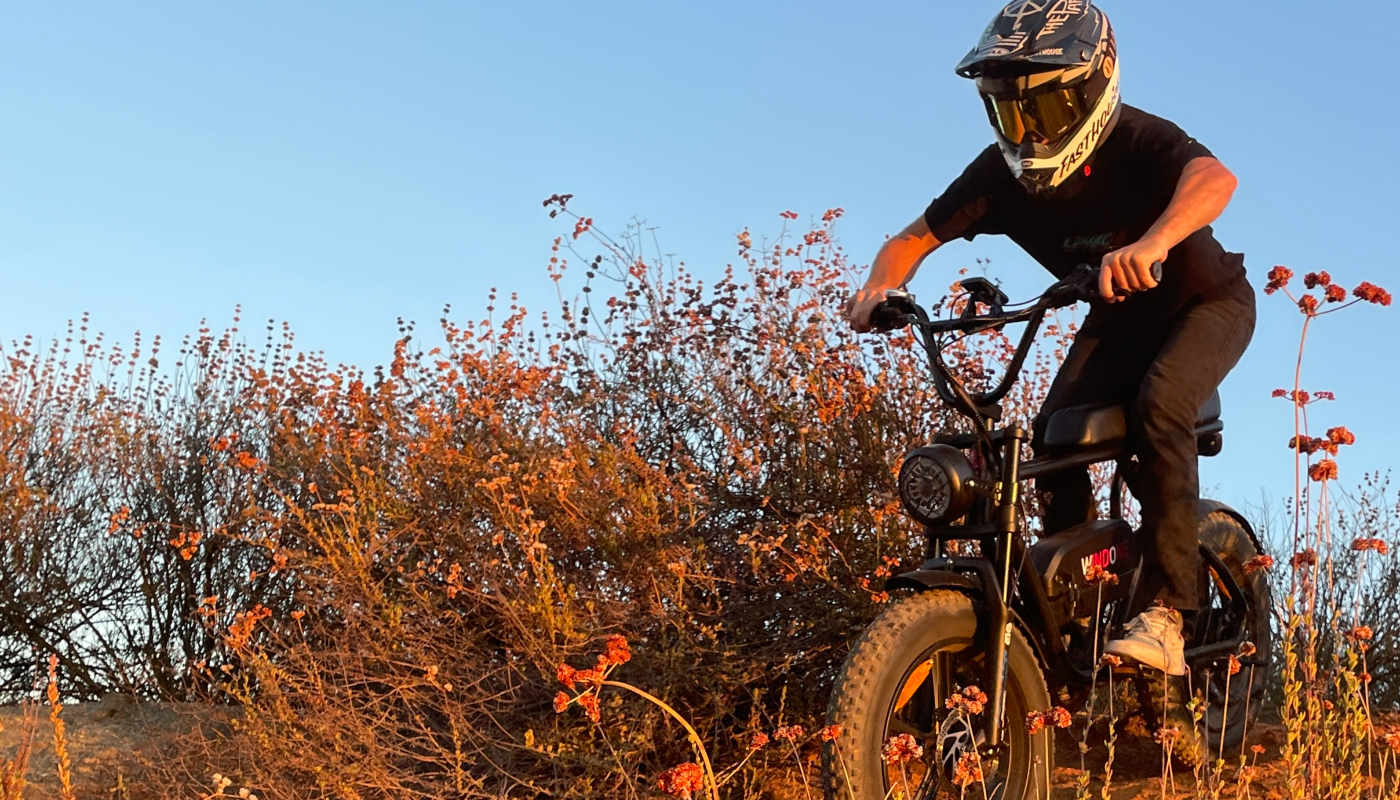 5 Best Fat Tire E-Bikes of 2024