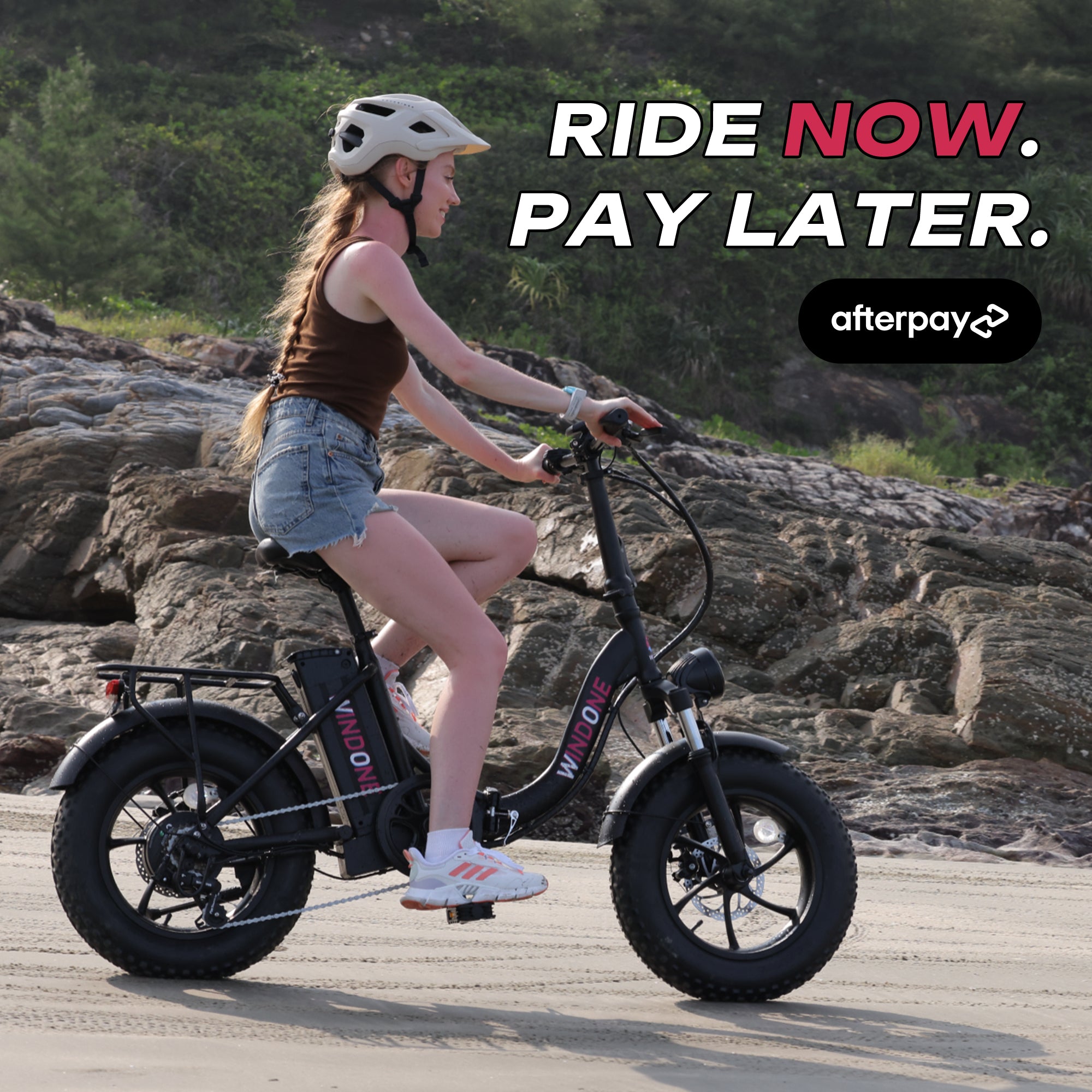 Windone S16 Fat Tire Folding City Rider