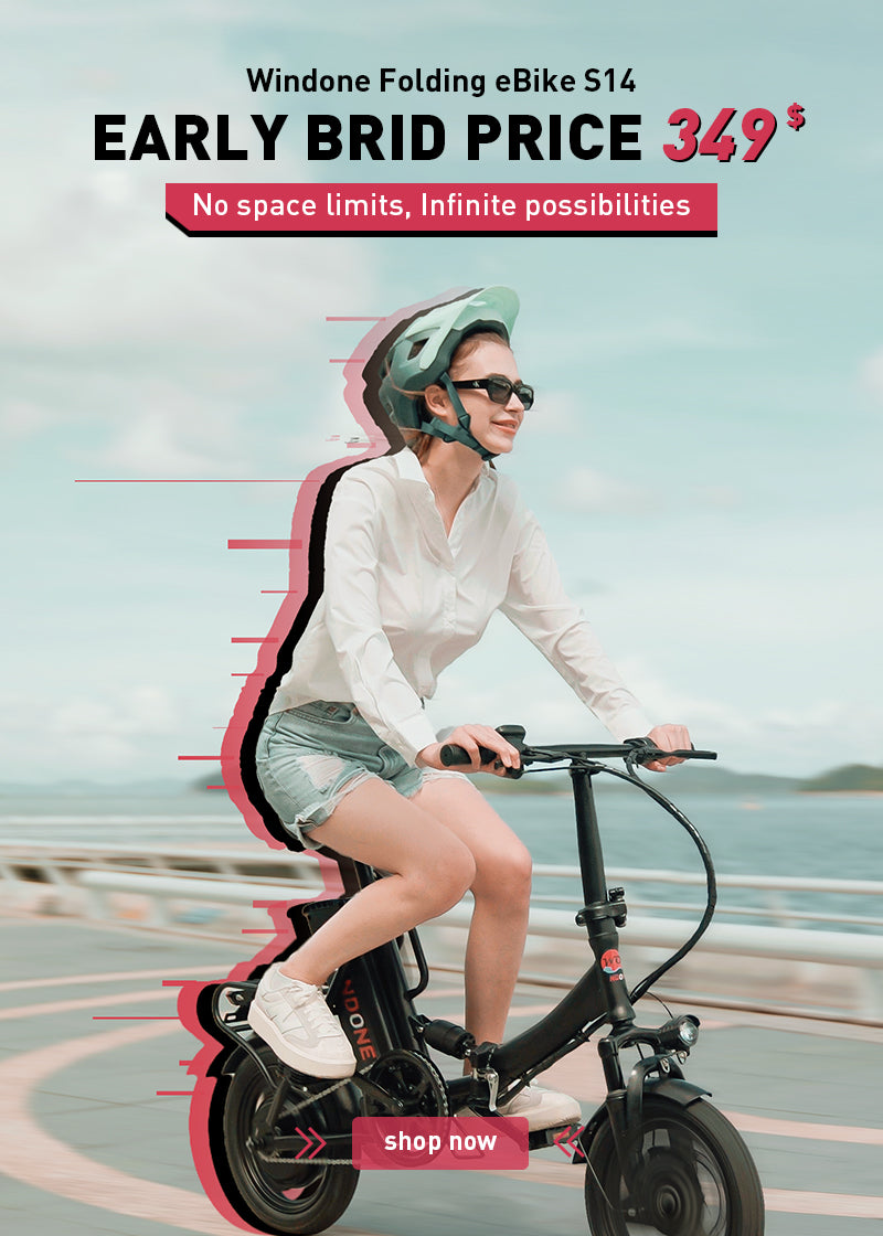 Windone Best Electric Bike, Windone Ebikes for Sale